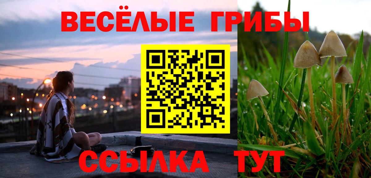 Каменка  Галлюциногенные грибы мицелий  Вход с VPN 
